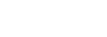 VIRA BRIDGE LLC.